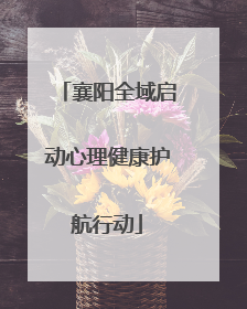 襄阳全域启动心理健康护航行动