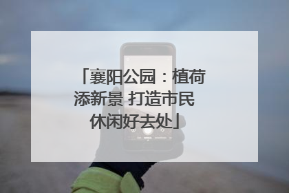 襄阳公园：植荷添新景 打造市民休闲好去处
