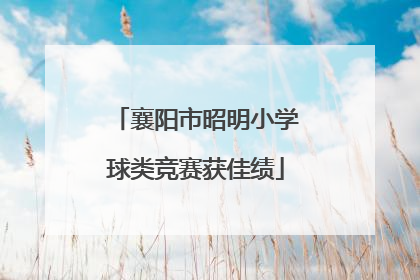 襄阳市昭明小学球类竞赛获佳绩