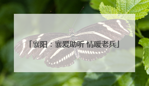 襄阳：襄爱助听 情暖老兵