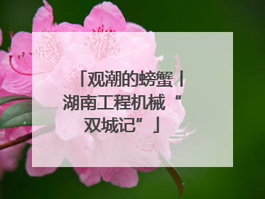 观潮的螃蟹丨湖南工程机械“双城记”