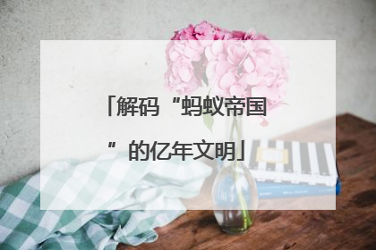 解码“蚂蚁帝国”的亿年文明