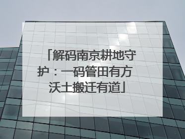 解码南京耕地守护：一码管田有方 沃土搬迁有道