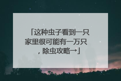 这种虫子看到一只家里很可能有一万只，除虫攻略→