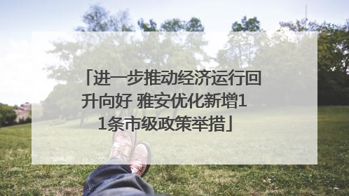 进一步推动经济运行回升向好 雅安优化新增11条市级政策举措