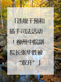 违规干预和插手司法活动！柳州中院副院长张华胜被“双开”