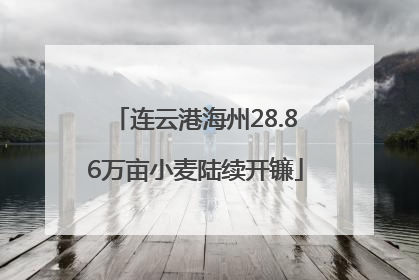 连云港海州28.86万亩小麦陆续开镰