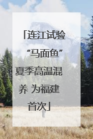 连江试验“马面鱼”夏季高温混养 为福建首次