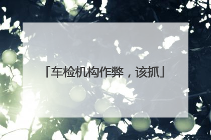 车检机构作弊，该抓