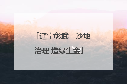 辽宁彰武：沙地治理 造绿生金