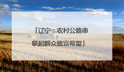 辽宁：农村公路串联起群众致富希望