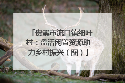 贵溪市流口镇细叶村：盘活闲置资源助力乡村振兴（图）