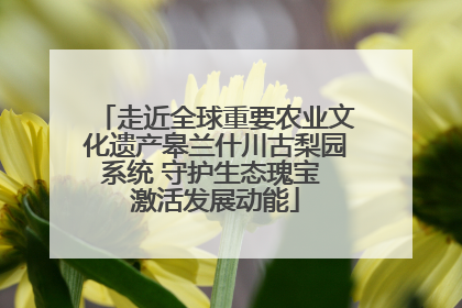 走近全球重要农业文化遗产皋兰什川古梨园系统 守护生态瑰宝 激活发展动能