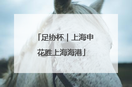 足协杯｜上海申花胜上海海港
