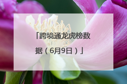 跨境通龙虎榜数据（6月9日）