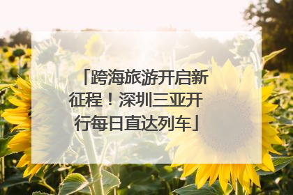 跨海旅游开启新征程！深圳三亚开行每日直达列车