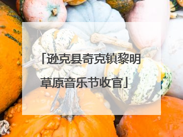 逊克县奇克镇黎明草原音乐节收官