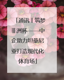 通讯丨筑梦非洲杯——中企助力坦桑尼亚打造现代化体育场