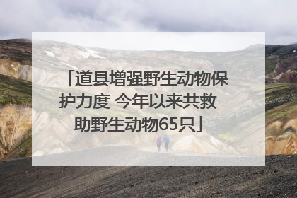 道县增强野生动物保护力度 今年以来共救助野生动物65只