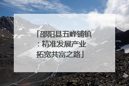 邵阳县五峰铺镇：精准发展产业 拓宽共富之路