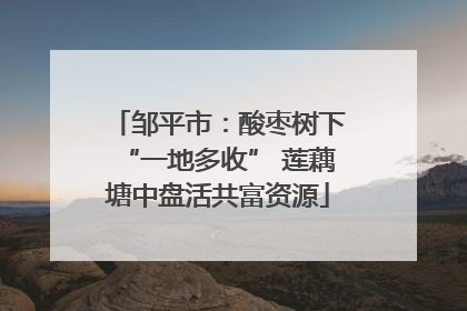 邹平市：酸枣树下“一地多收” 莲藕塘中盘活共富资源