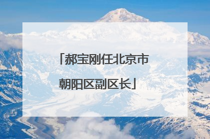 郝宝刚任北京市朝阳区副区长