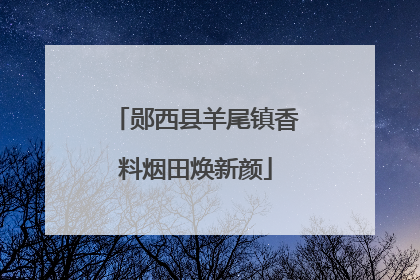 郧西县羊尾镇香料烟田焕新颜