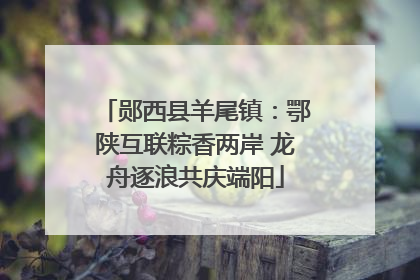郧西县羊尾镇：鄂陕互联粽香两岸 龙舟逐浪共庆端阳