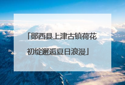 郧西县上津古镇荷花初绽邂逅夏日浪漫