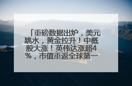 重磅数据出炉，美元跳水，黄金拉升！中概股大涨！英伟达涨超4%，市值重返全球第一！黄仁勋计划出售至多600万股股票