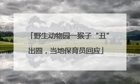 野生动物园一猴子“丑”出圈，当地保育员回应