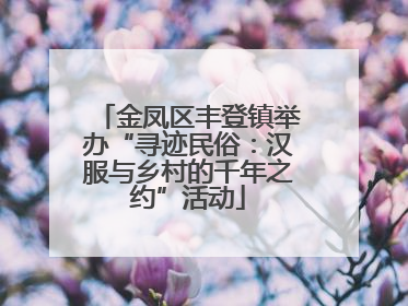 金凤区丰登镇举办“寻迹民俗：汉服与乡村的千年之约”活动