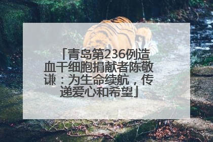青岛第236例造血干细胞捐献者陈敬谦：为生命续航，传递爱心和希望