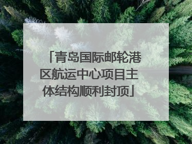 青岛国际邮轮港区航运中心项目主体结构顺利封顶