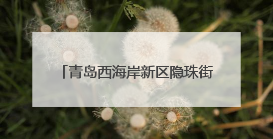 青岛西海岸新区隐珠街道：高效推进林业执法，筑牢林地安全屏障