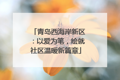 青岛西海岸新区：以爱为笔，绘就社区温暖新篇章