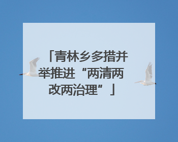青林乡多措并举推进“两清两改两治理”