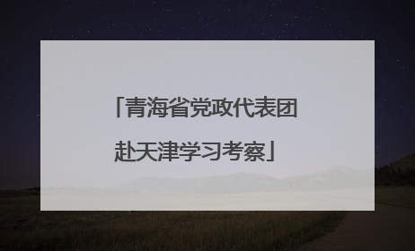 青海省党政代表团赴天津学习考察