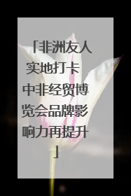 非洲友人实地打卡 中非经贸博览会品牌影响力再提升