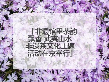 非遗馆里茶韵飘香 武夷山水非遗茶文化主题活动在京举行