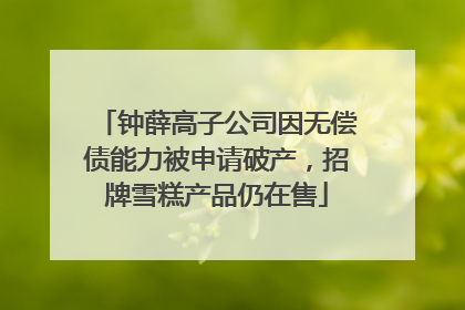 钟薛高子公司因无偿债能力被申请破产，招牌雪糕产品仍在售