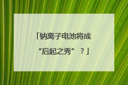 钠离子电池将成“后起之秀”？