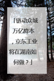 链动众城 万亿降本，京东工业将在湖南如何做？