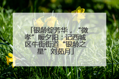 银龄绽芳华，“微孝”暖夕阳：记西城区牛街街道“银龄之星”刘茹月