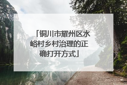 铜川市耀州区水峪村乡村治理的正确打开方式