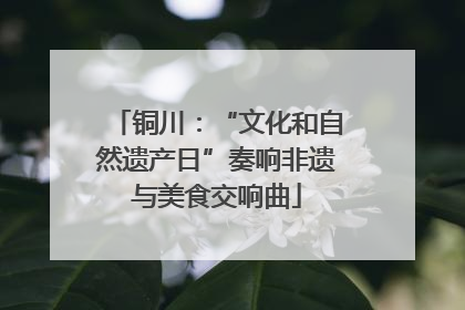 铜川：“文化和自然遗产日”奏响非遗与美食交响曲
