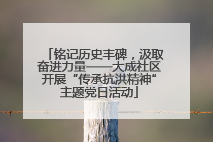 铭记历史丰碑，汲取奋进力量——大成社区开展“传承抗洪精神”主题党日活动