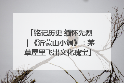 铭记历史 缅怀先烈｜《沂蒙山小调》：茅草屋里飞出文化瑰宝