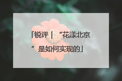 锐评｜“花漾北京”是如何实现的