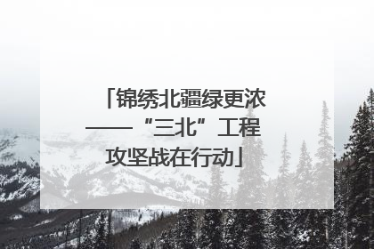锦绣北疆绿更浓——“三北”工程攻坚战在行动